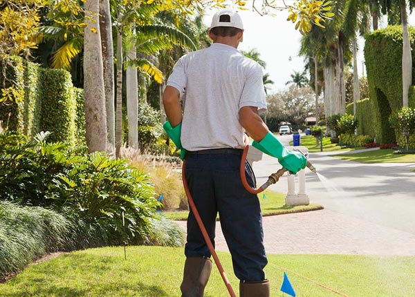 About Arcanum OH Pest Control